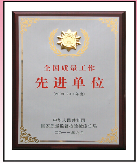 彩虹集團先進單位獎牌