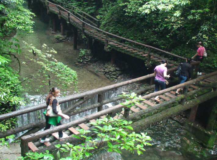 彩虹員工登山游玩