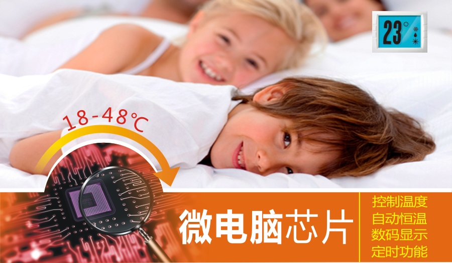 彩虹集團(tuán)微電腦控制技術(shù)