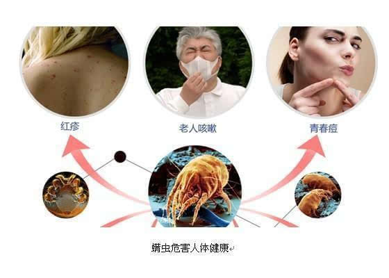 螨蟲危害