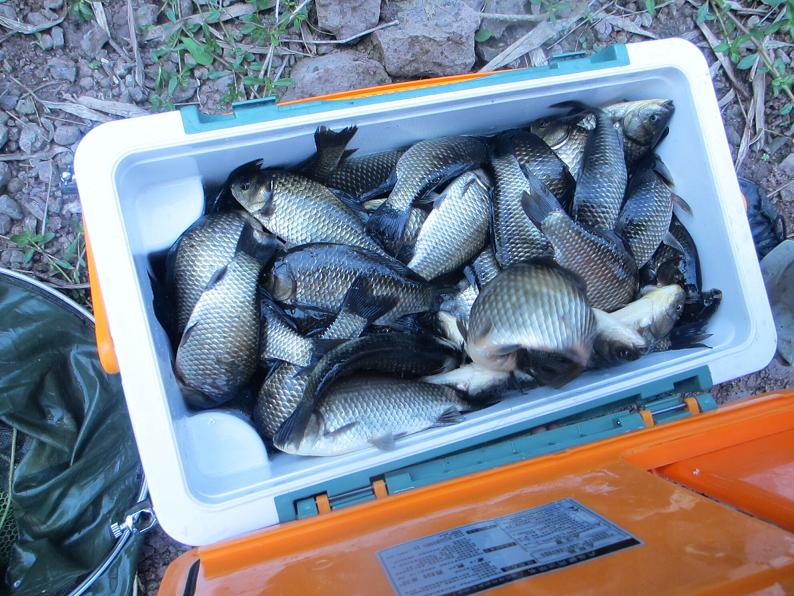 彩虹集團組織釣魚競賽活動