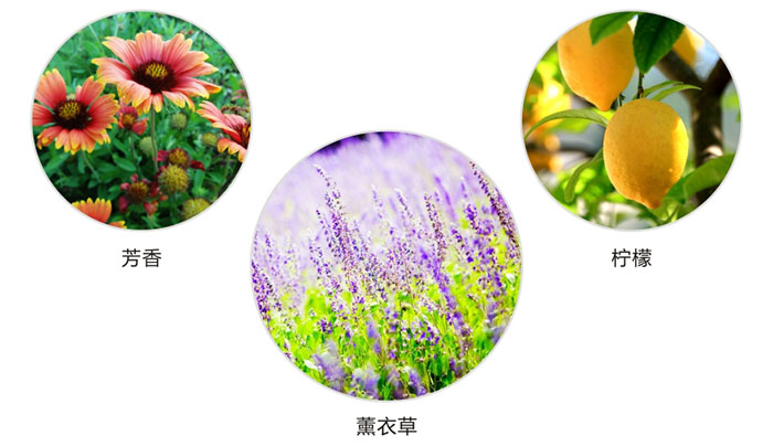 彩虹防蛀片有芳香，檸檬，薰衣草三種香型