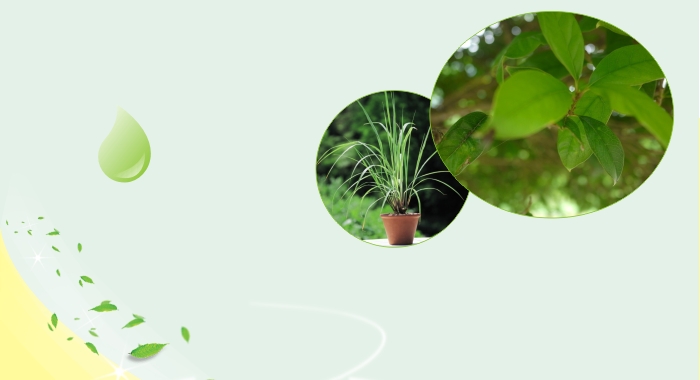 彩虹戶外驅(qū)蚊貼采用植物精油驅(qū)蚊配方，獨特的緩釋技術(shù)