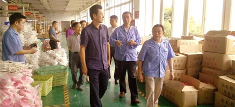 成都市安監(jiān)局領(lǐng)導(dǎo)一行到公司進行安全檢查