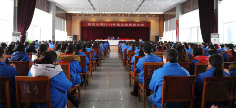 成都彩虹集團(tuán)召開2015年度總結(jié)表彰大會(huì)