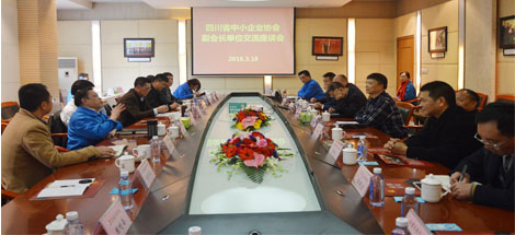 四川省中小企業(yè)協(xié)會(huì)副會(huì)長(zhǎng)單位領(lǐng)導(dǎo)到成都彩虹集團(tuán)調(diào)研