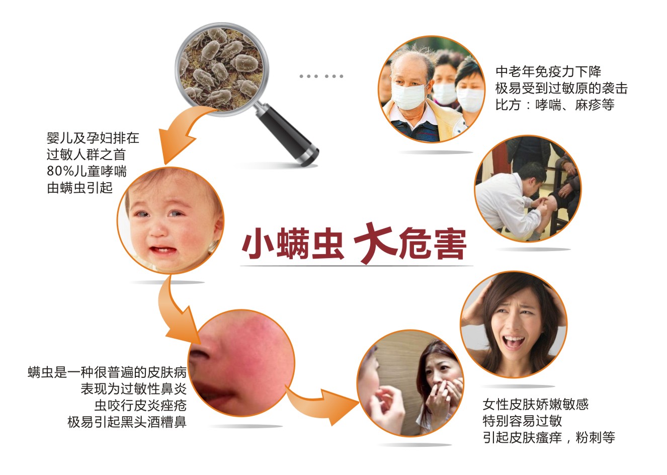 小螨蟲(chóng)大危害