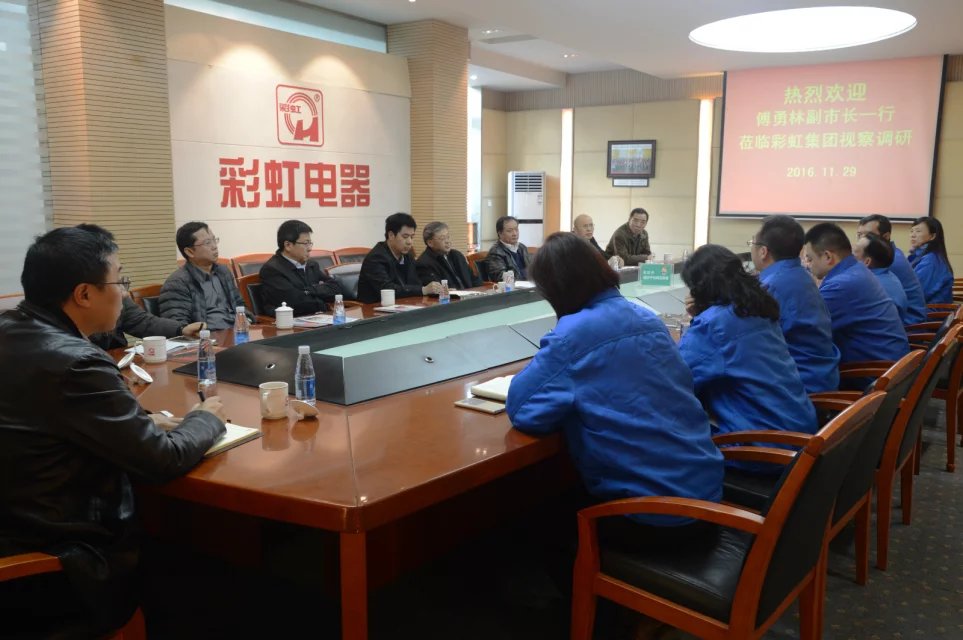 成都市副市長傅勇林等領(lǐng)導(dǎo)到成都彩虹集團調(diào)研
