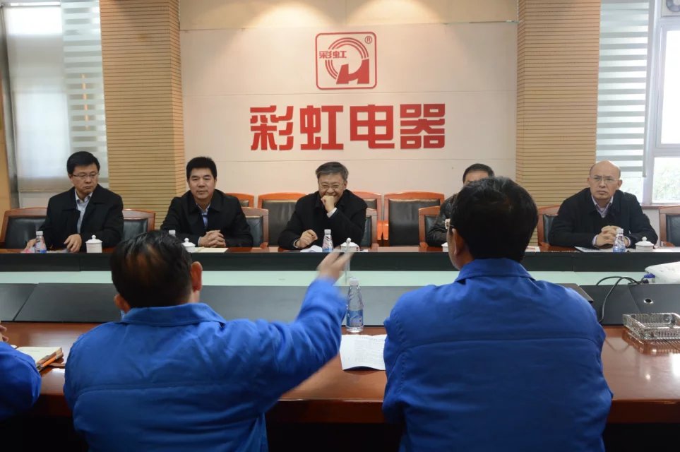 成都市副市長傅勇林等領(lǐng)導(dǎo)到成都彩虹集團調(diào)研