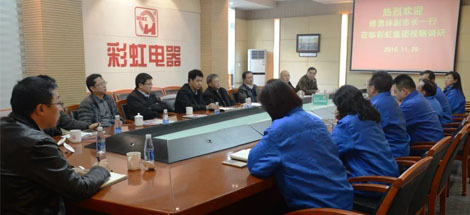 成都市副市長傅勇林等領(lǐng)導到成都彩虹集團調(diào)研