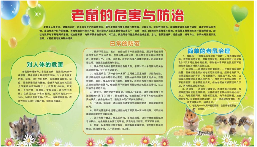 老鼠的危害與防治