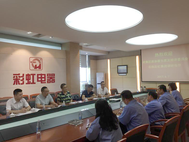 武侯區(qū)政協(xié)蔡主席及經濟委員會領導到彩虹集團調研