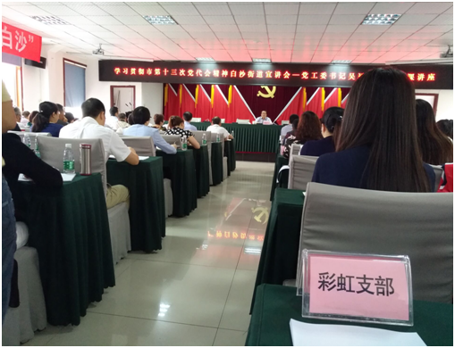 成都彩虹集團(tuán)日化黨支部學(xué)習(xí)成都市第十三次黨代會(huì)精神