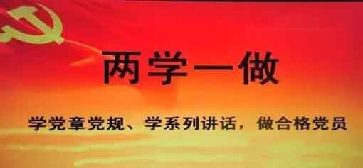在行動(dòng)中找差距——“兩學(xué)一做”學(xué)心得