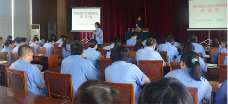 成都彩虹集團(tuán)開展質(zhì)量提升與品牌建設(shè)培訓(xùn)