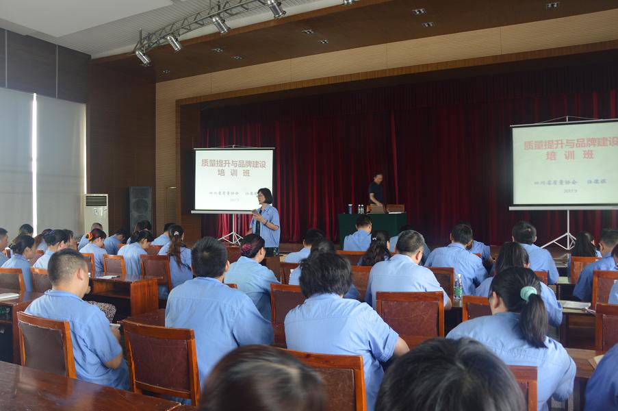 成都彩虹集團(tuán)開展質(zhì)量提升與品牌建設(shè)培訓(xùn)