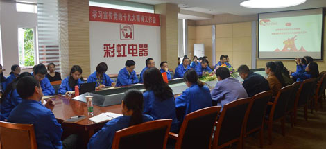 成都彩虹集團黨委召開學習宣傳黨的十九大精神工作會