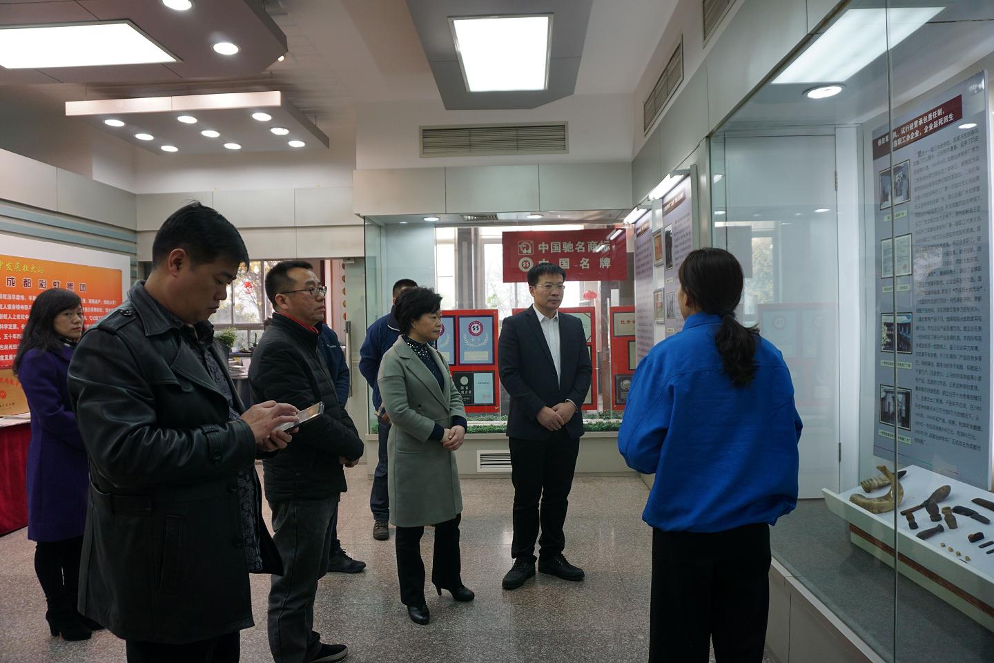 湖北武穴市領導蒞臨成都彩虹集團指導工作