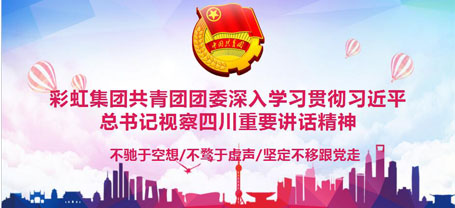 共青團成都彩虹集團委員會委員組織學習習近平總書記視察四川重要講話精神