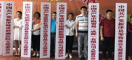 成都彩虹集團(tuán)生活電器有限公司黨支部成立