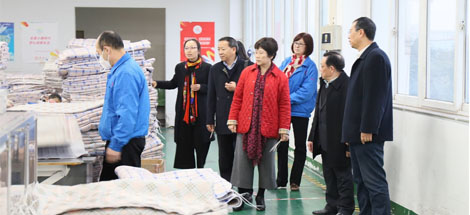 中國輕工業(yè)聯(lián)合會副會長何燁一行蒞臨成都彩虹集團(tuán)參觀指導(dǎo)