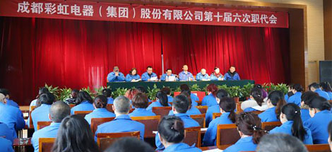 公司召開(kāi)第十屆六次職工代表大會(huì)