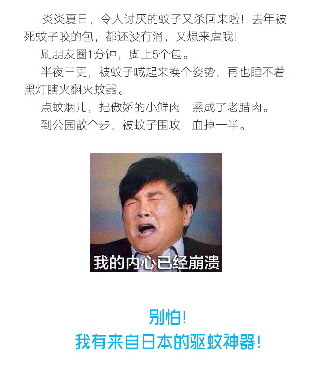 隱形蚊帳——彩虹防蚊網(wǎng)