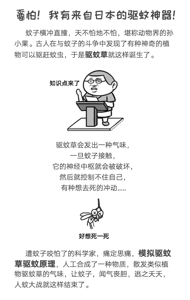 彩虹防蚊網(wǎng)不懼日曬與風(fēng)雨