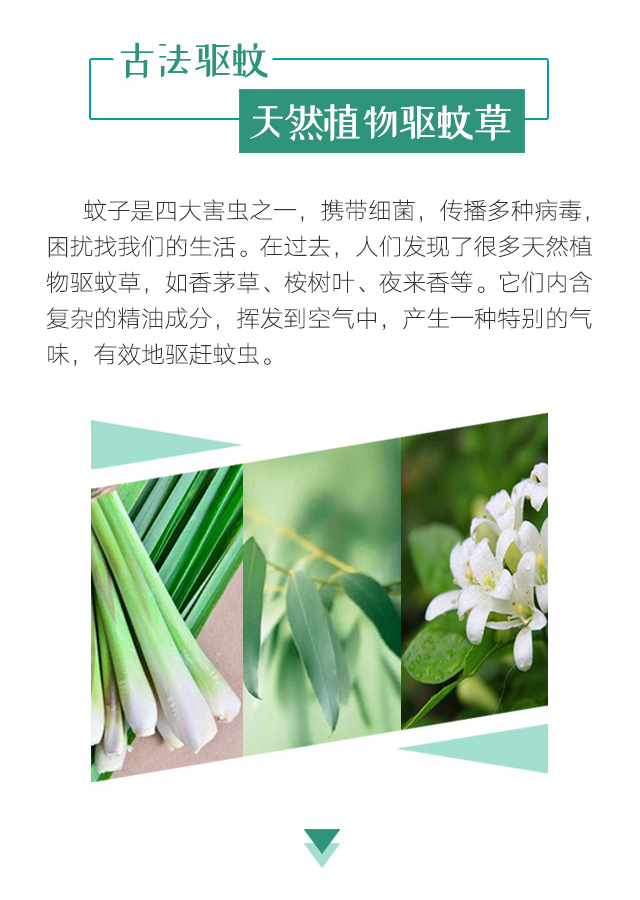 彩虹天然植物精油驅(qū)蚊貼
