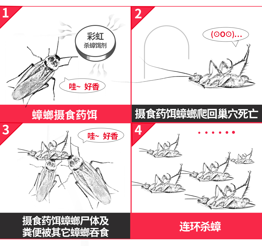 彩虹殺蟑餌劑可連環(huán)殺蟑