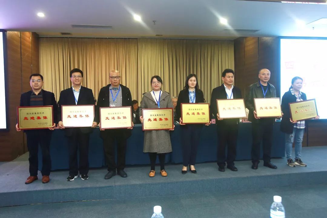 成都彩虹集團(tuán)再次當(dāng)選省聯(lián)社常務(wù)理事單位并榮獲四川省集體經(jīng)濟(jì)先進(jìn)集體