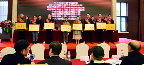 公司榮獲首屆四川縣域經(jīng)濟(jì)創(chuàng)新發(fā)展優(yōu)秀企業(yè)稱號