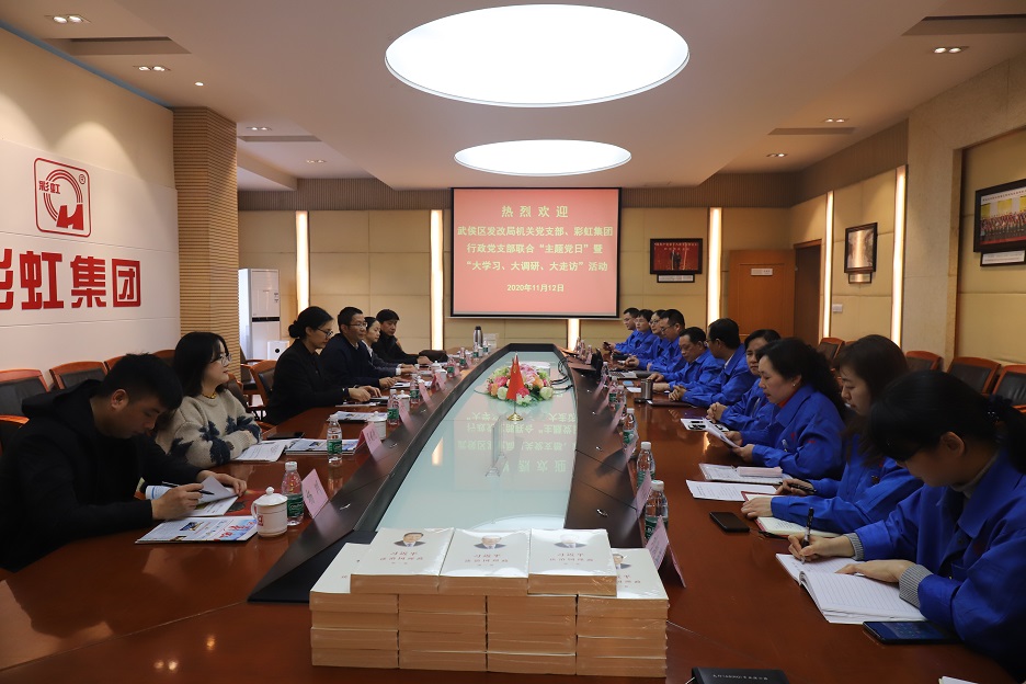 武侯區(qū)發(fā)改局機關(guān)黨支部、彩虹集團(tuán)行政黨支部開展“主題黨日”暨“大學(xué)習(xí)、大調(diào)研、大走訪”活動