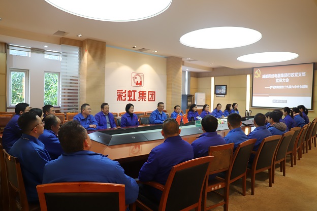 成都彩虹集團(tuán)行政黨支部召開黨員大會(huì) 傳達(dá)學(xué)習(xí)黨的十九屆六中全會(huì)精神