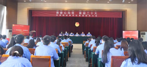 成都彩虹集團(tuán)召開2022年團(tuán)員大會(huì)暨團(tuán)委換屆選舉會(huì)議