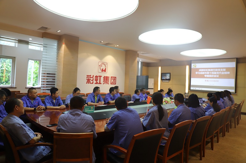 成都彩虹集團(tuán)行政黨支部開展學(xué)習(xí)成都市第十四屆黨代會精神專題組織會議